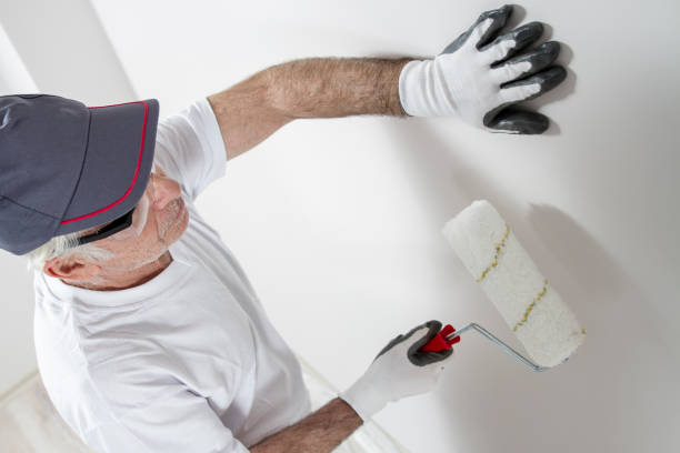 Trusted Estes Park, CO Drywall & Painting Services Experts